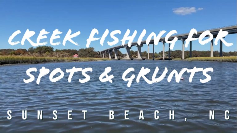 Saltwater Fishing in a Jon Boat at Sunset Beach Causeway | Catching Spot & Grunt in NC Creeks
